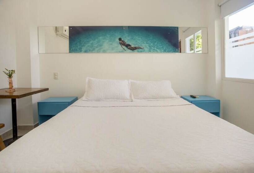 غرفة قياسية, Barahona Cartagena