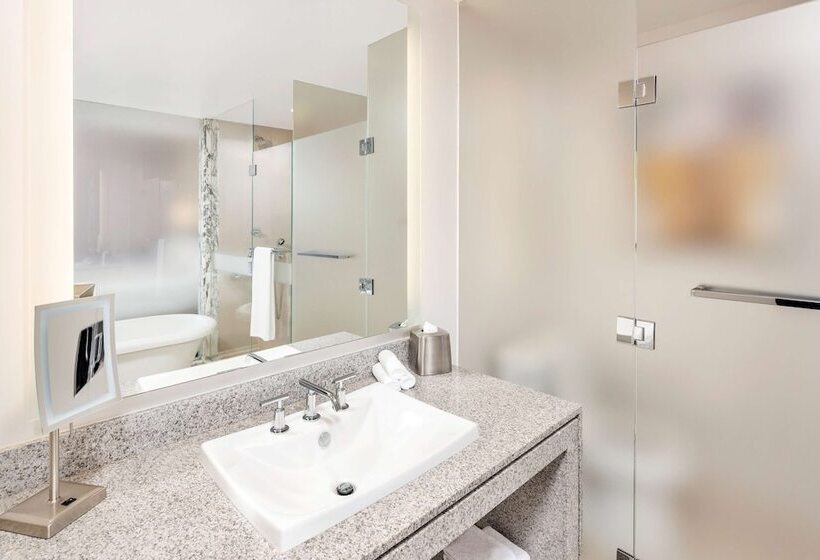 带大床的套房, Hilton Club West 57th Street New York