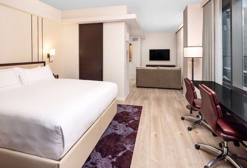 高级工作室, Hilton Club West 57th Street New York