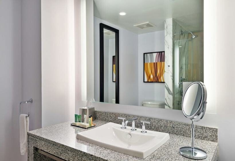 高级工作室, Hilton Club West 57th Street New York