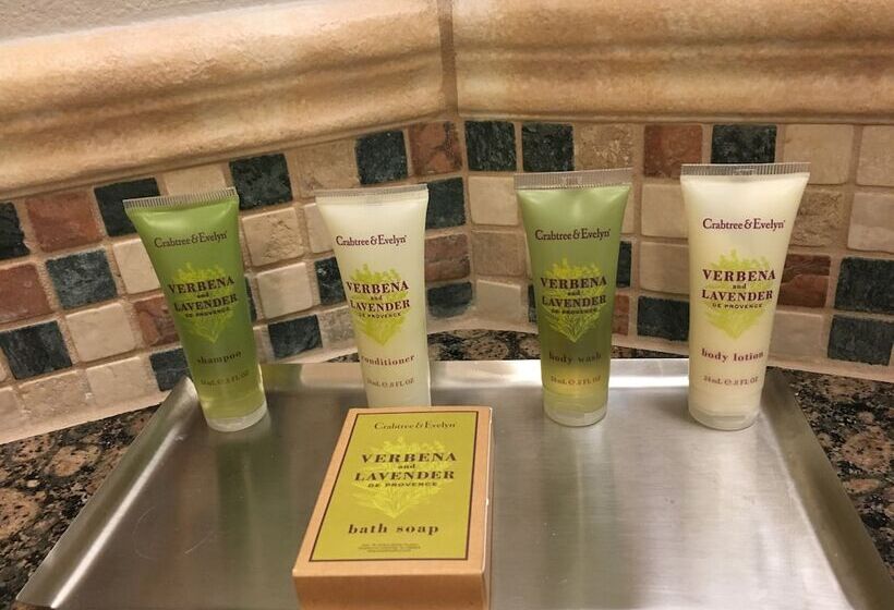 高级套房, Hilton Club West 57th Street New York