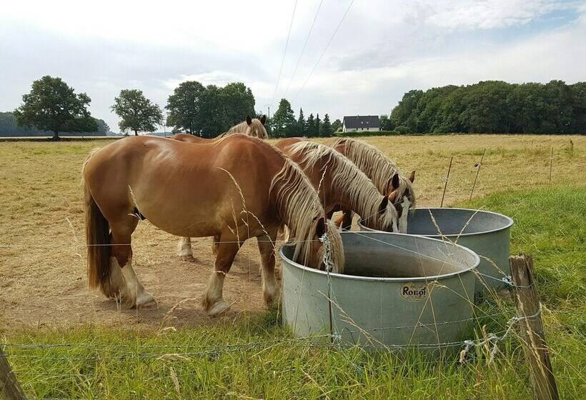 منزل غرفة نوم واحدة, Villandry  Domaine De L Augeonnière