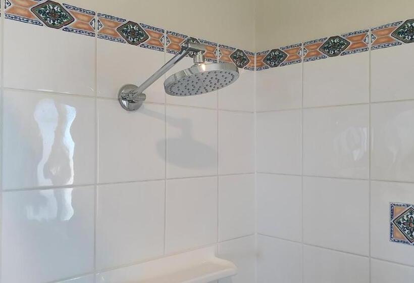 带大床的标准间, Dirranbandi Motor Inn