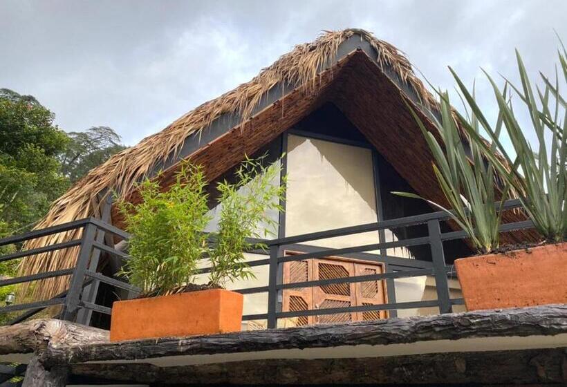 סוויטה עם מרפסת, Rancho Ecoturistico El Faro