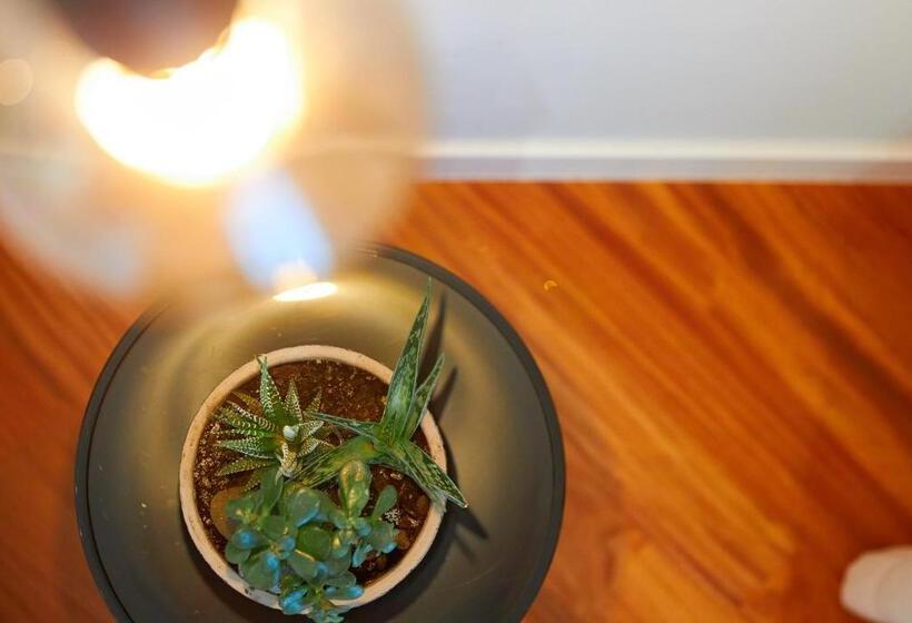 スイート(家族用), Villa Rosa Residence