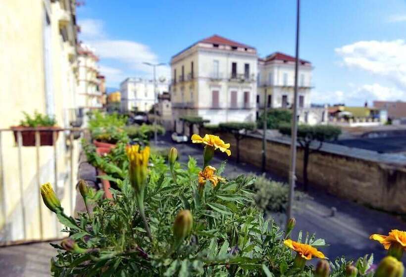 מיטה בחדר משותף, H Hostel Friendly Accommodation