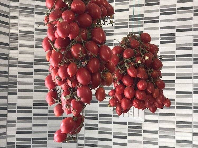 מיטה בחדר משותף, H Hostel Friendly Accommodation