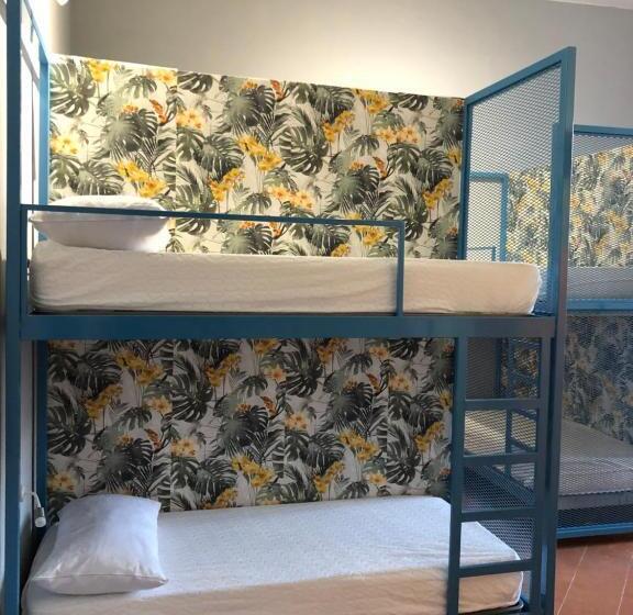 מיטה בחדר משותף, H Hostel Friendly Accommodation