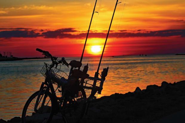 Номер Стандарт, Herring Run Motel And Tiny Cabins