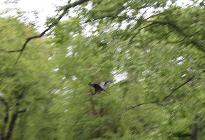 Номер Стандарт Адаптированный для Инвалидов, Herring Run Motel And Tiny Cabins