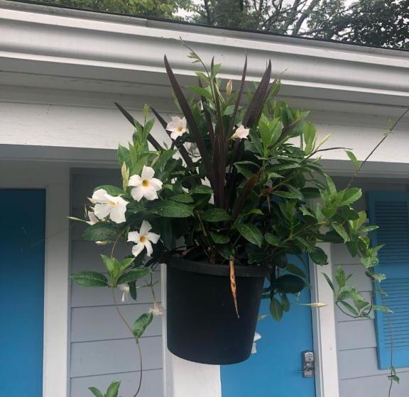 Люкс, Herring Run Motel And Tiny Cabins