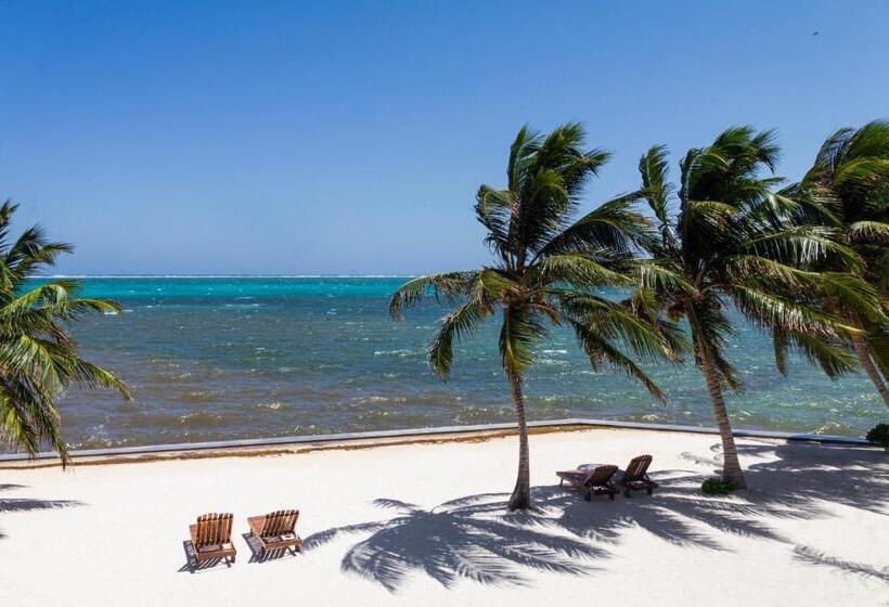 سوئیت با تخت بزرگ, Tara Del Sol Resort