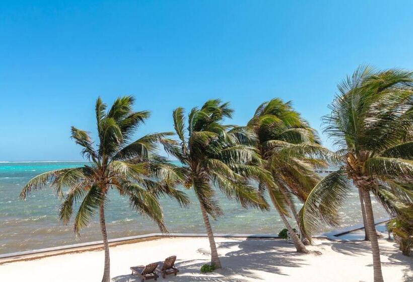 سوئیت با تخت بزرگ, Tara Del Sol Resort