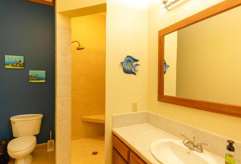 ویلا دلوکس 3 خوابه, Tara Del Sol Resort