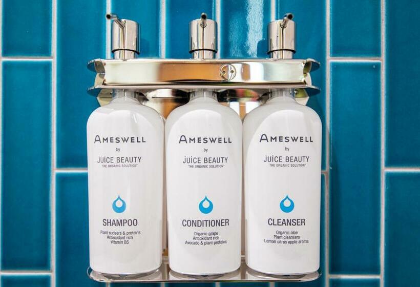 适合残疾人使用的标准间, The Ameswell