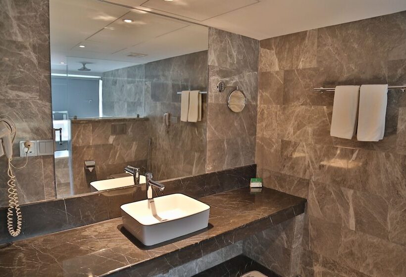 سوییت اجرایی, Dhaka Regency Hotel & Resort Limited