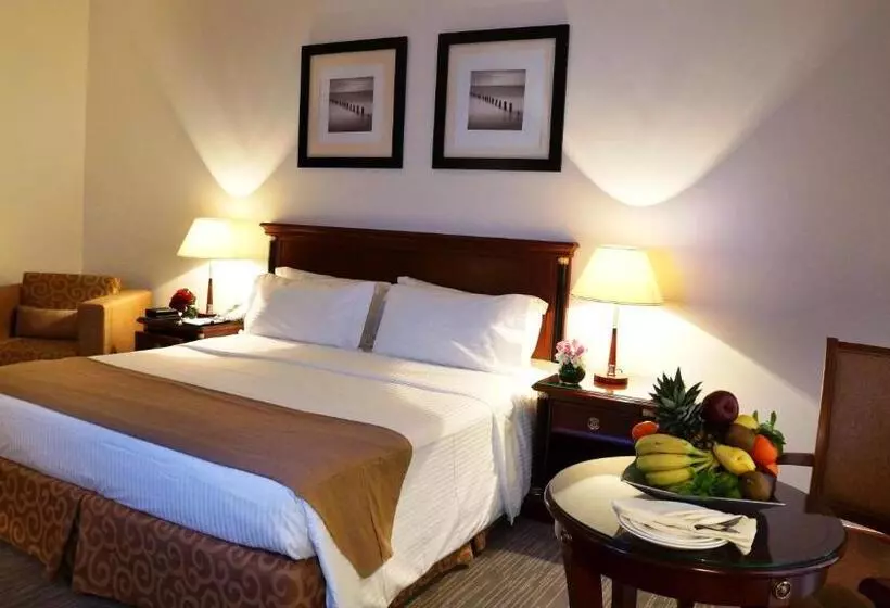 اتاق استاندارد با تخت بزرگ, Executives Hotel   Olaya