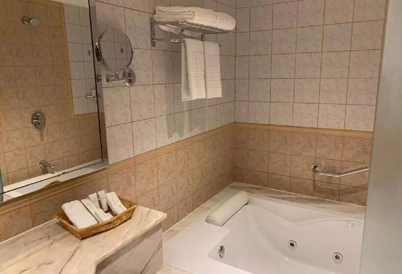 سوئیت جونیور با ماساژ آبی, Executives Hotel   Olaya