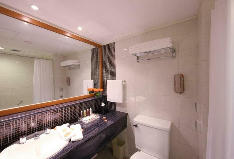 اتاق سوپریور, Xi An Dajing Castle