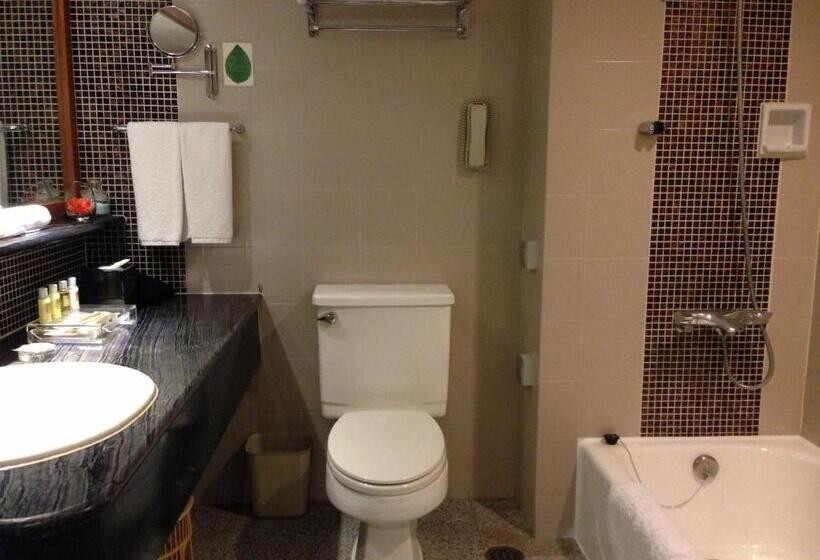 اتاق خانوادگی تودرتو, Xi An Dajing Castle