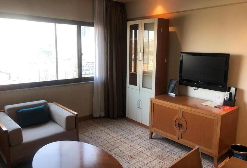 آپارتمان خانوادگی, Xi An Dajing Castle