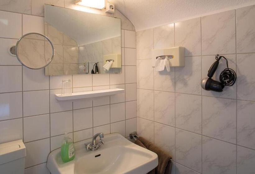 スタンダードシングルルーム, Rammersweier Hof