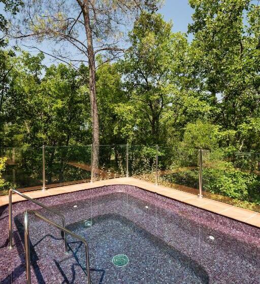 ビラホテル１ベッドルーム, Terre Blanche Hotel Spa Golf Resort