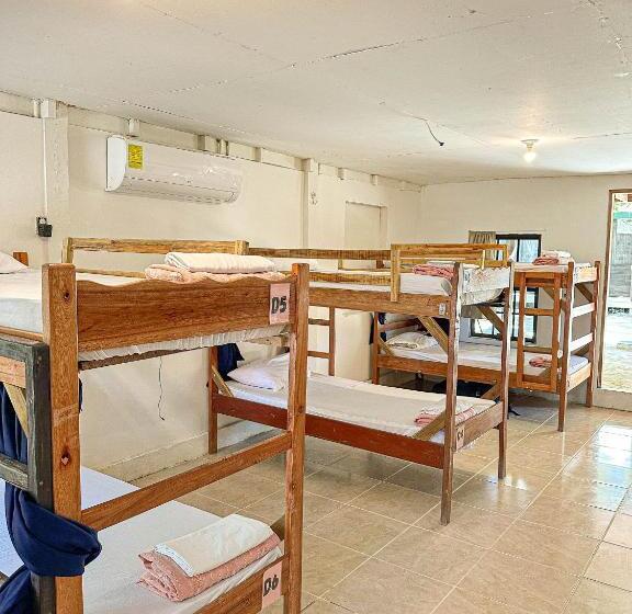 מיטה בחדר משותף, Bella S Backpackers Hostel