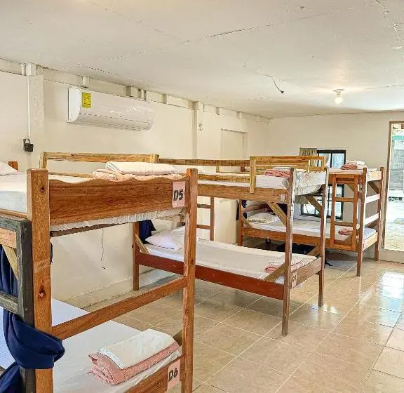 تختخواب در اتاق مشترک, Bella S Backpackers Hostel
