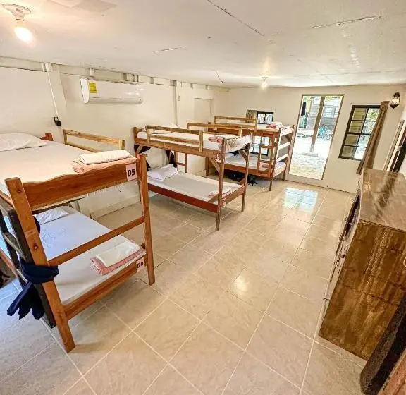 تختخواب در اتاق مشترک, Bella S Backpackers Hostel
