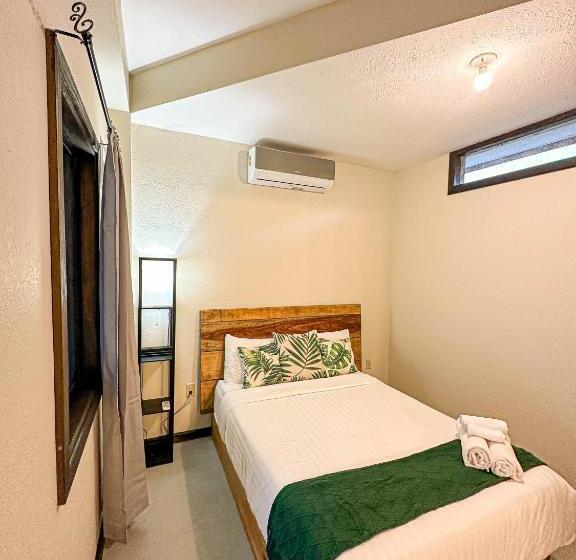 סוויטה דלוקס, Bella S Backpackers Hostel