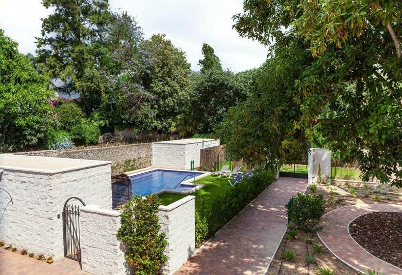 스탠다드 테라스 룸, Ad Hoc Vitae Retreats & Health Only Adults