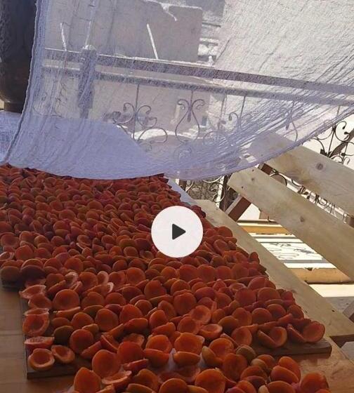 スタンダードシティビュールーム, Guest House Art Postindoz