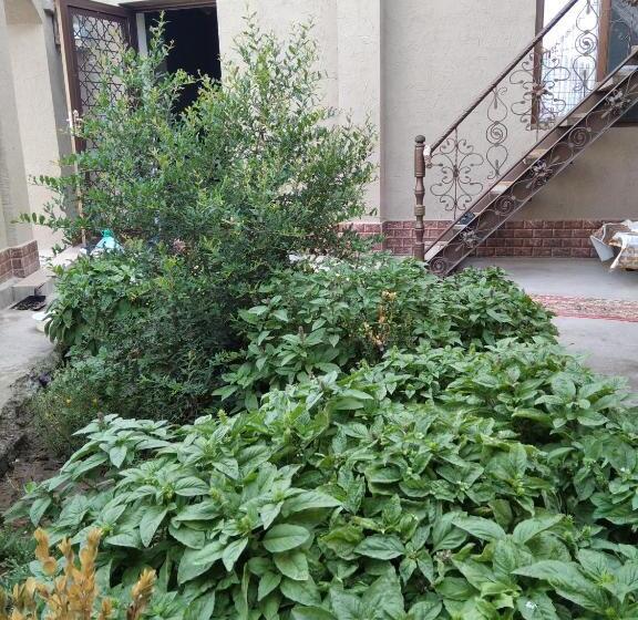 スタンダードシティビュールーム, Guest House Art Postindoz