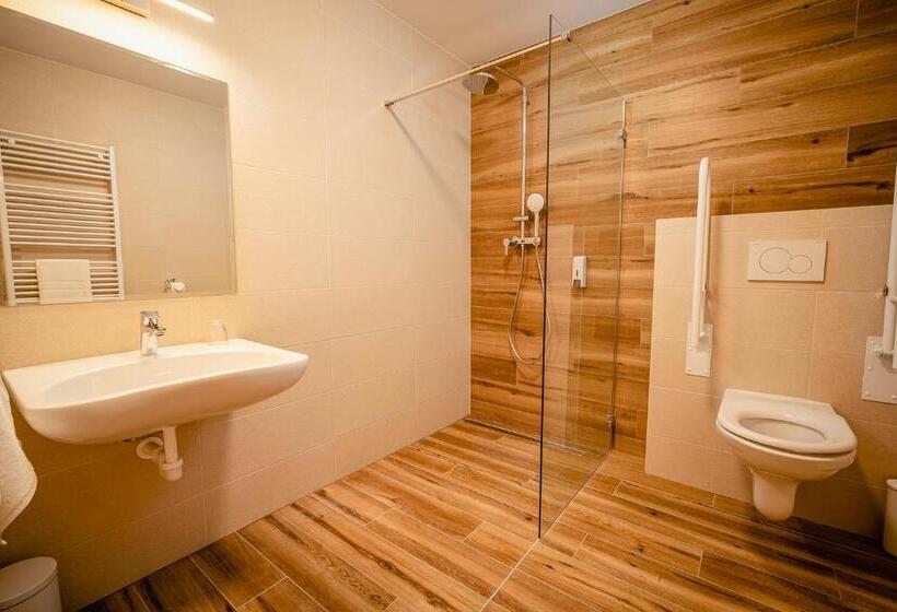 Mozgáskorlátozott Standard Egyágyas Szoba, Garni Hotel Dock Bratislava