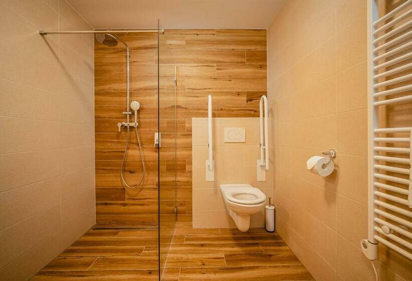 Mozgáskorlátozott Standard Egyágyas Szoba, Garni Hotel Dock Bratislava