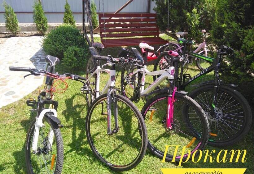 1 Bedroom Apartment with Views, нота карпат