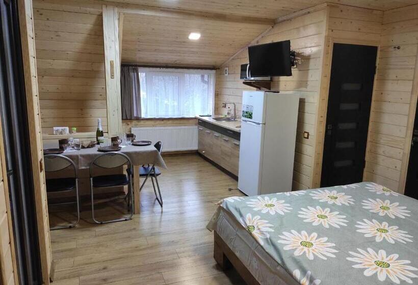 1 Bedroom Apartment with Views, нота карпат