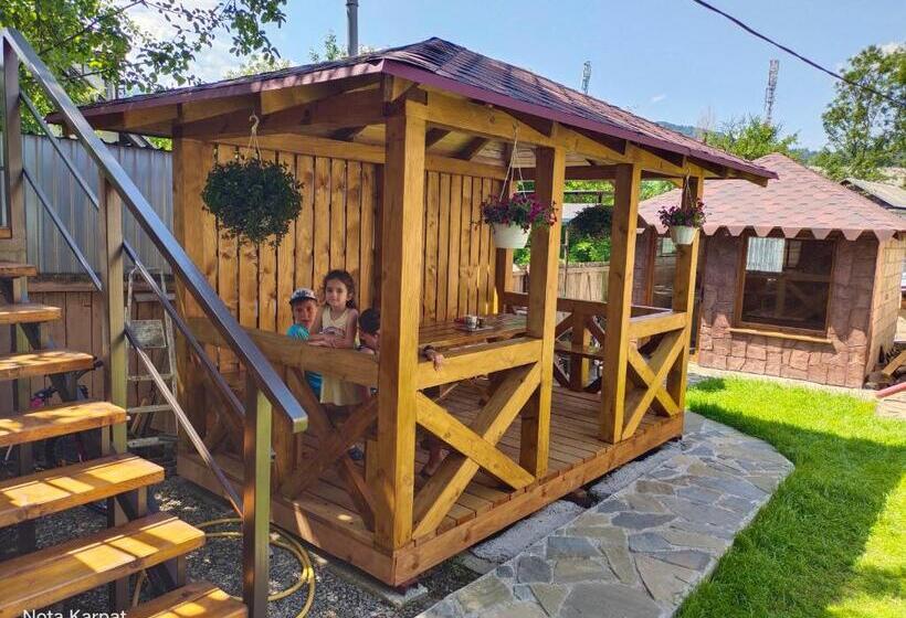 1 Bedroom House, нота карпат