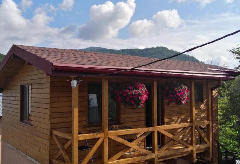 1 Yatak Odalı Ev, нота карпат