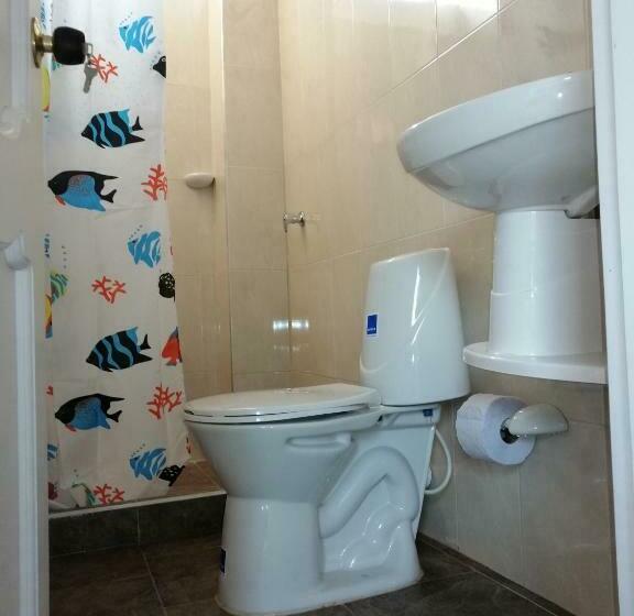 Номер Стандарт, Obega Pacific