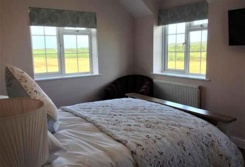 キングサイズベッドのスタンダードルーム, Frongaer Bed And Breakfast