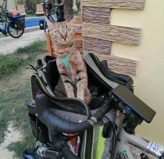 חדר דלוקס צדדי נוף לים, Baku Black Mountain Guest House