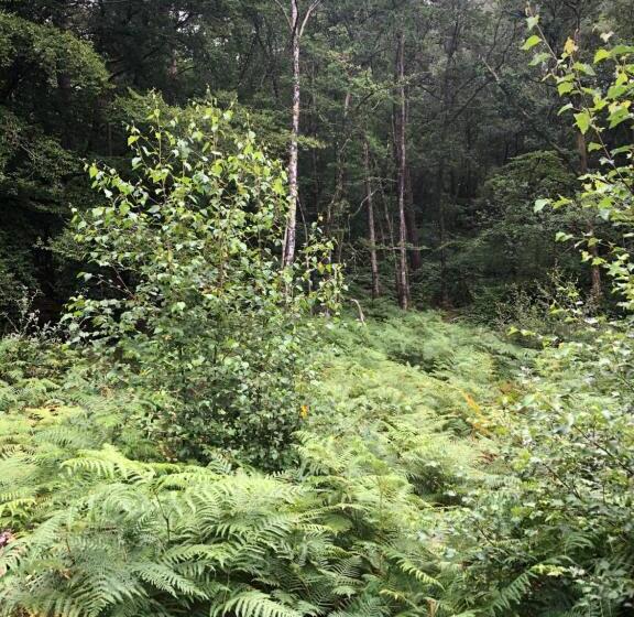 스탠다드 룸, Merlin Les Pieds Dans L Eau