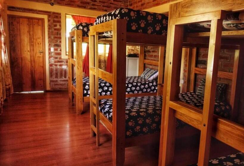 تختخواب در اتاق مشترک, Hostal El Vaquero