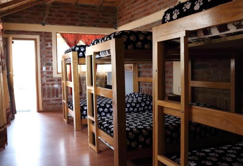 تختخواب در اتاق مشترک, Hostal El Vaquero