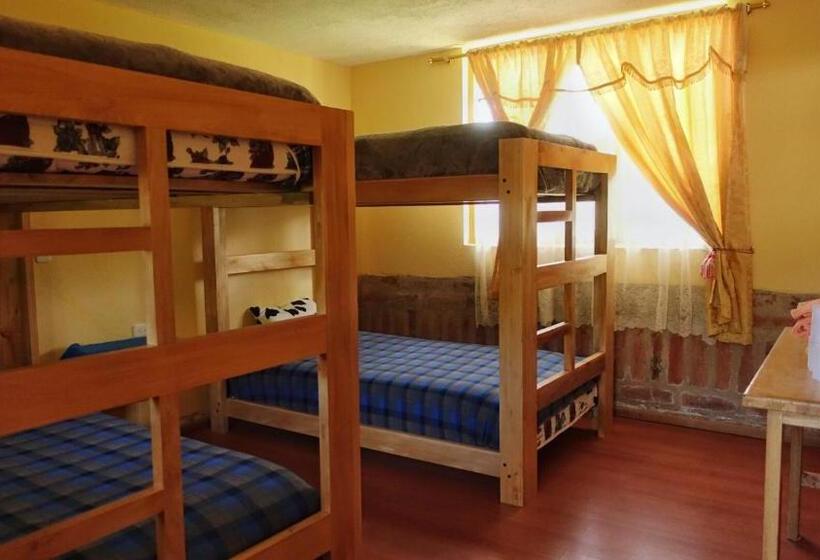 تختخواب در اتاق مشترک, Hostal El Vaquero