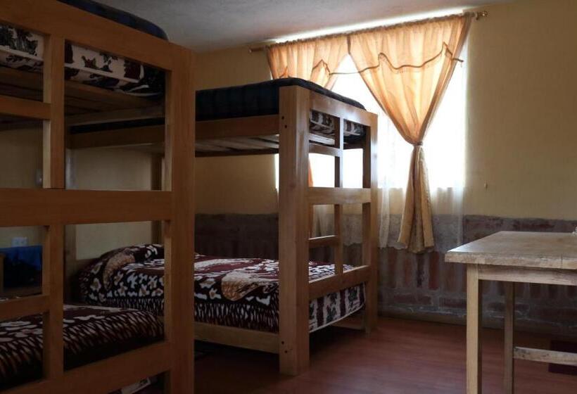 تختخواب در اتاق مشترک, Hostal El Vaquero