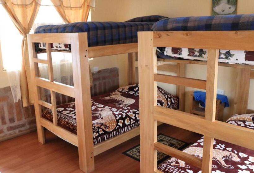 تختخواب در اتاق مشترک, Hostal El Vaquero