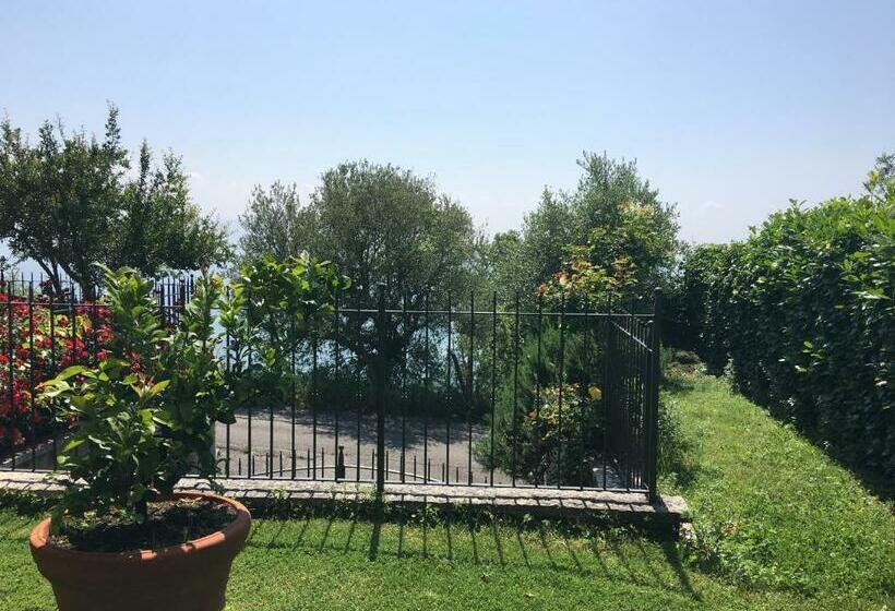 Номер Basic, Belvedere Hotel & Villa